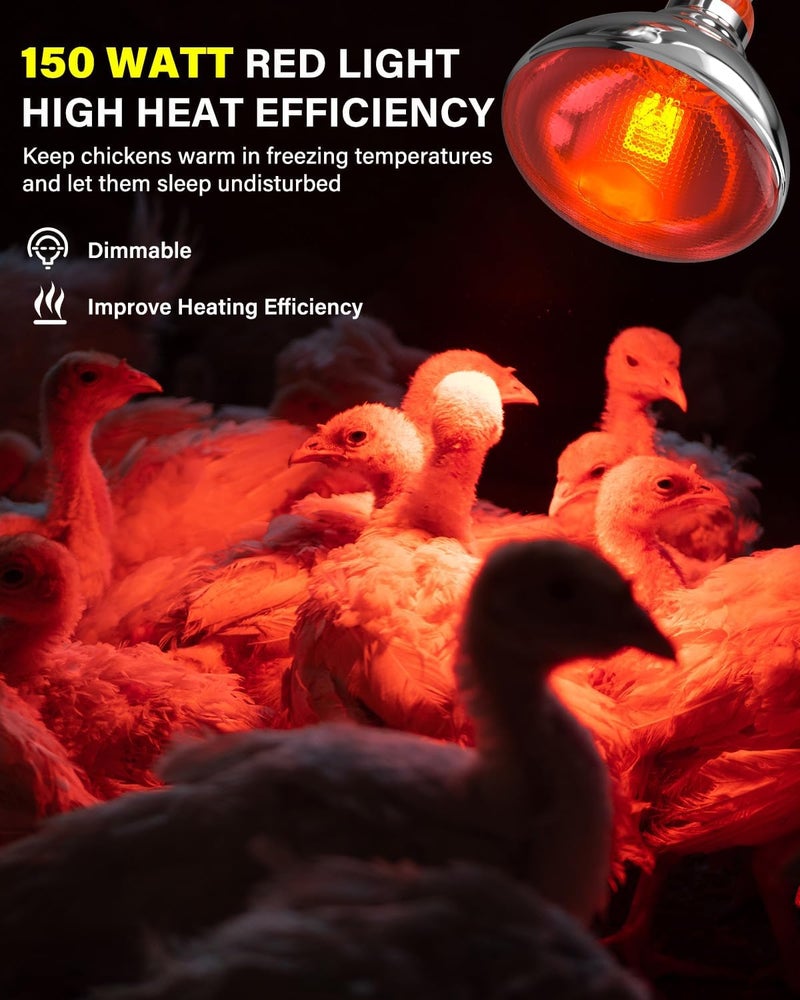 TobeBright مصابيح حرارة للدجاج في حظيرة الدجاج مع سلك توصيل، مفتاح تشغيل/إيقاف، 150 واط E26 مصباح حرارة زواحف ضوء أحمر تحت الحمراء للدجاج، الطيور، البط، الكلاب، القطط - Image 3